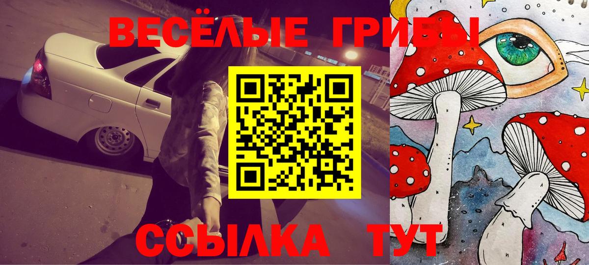 Брянск  Галлюциногенные грибы Cubensis  Вход с VPN 